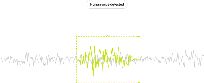 Human voice detection